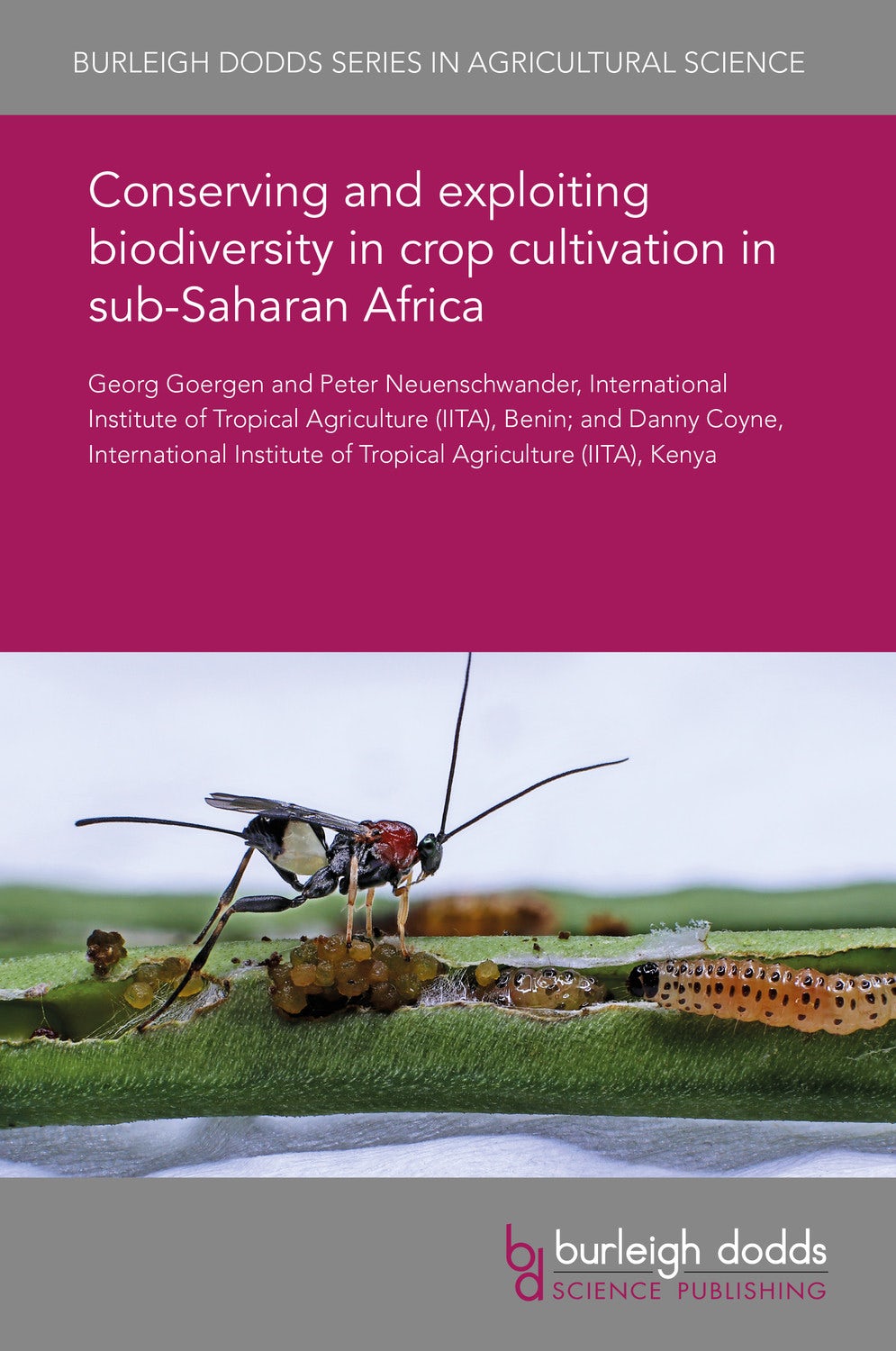 Book cover image for Conserving and exploiting biodiversity in crop cultivation in sub-Saharan Africa ISBN: 9781838797522